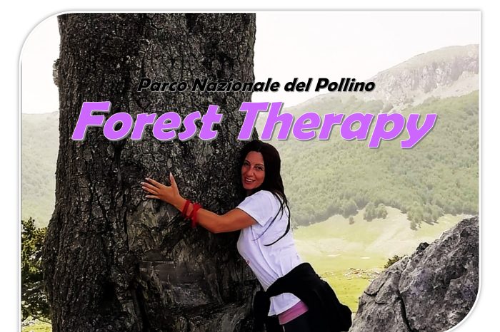 Vacanza Forest Therapy e Trekking nel Parco Nazionale del Pollino
