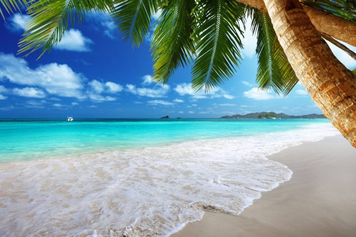 Playa del Carmen – Riviera Maya MARZO 2025