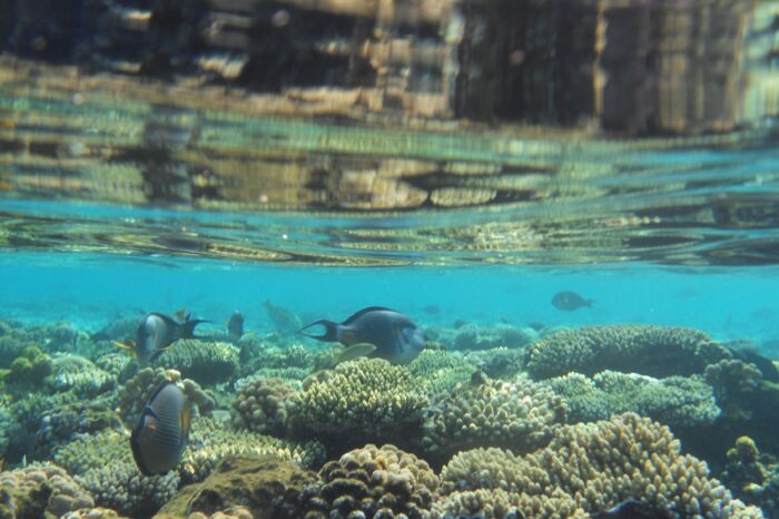 Sharm El Sheikh viaggio di gruppo Ottobre 2026